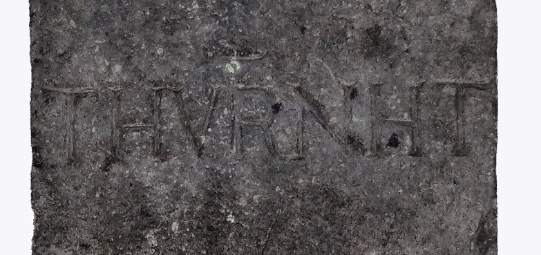 Grenspaal_Thielen_Turnhout_Bijgeknipt